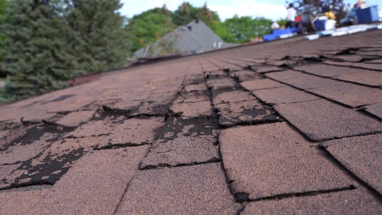Best Gutter Replacement  in Brookfield, WI